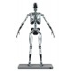 Stainless Steel Mark I Endoskeleton 1/6 Scale Action Figure